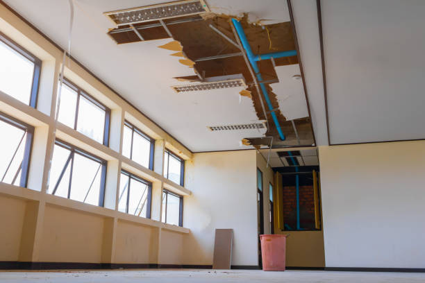 Best Residential water damage restoration  in Homestead, FL