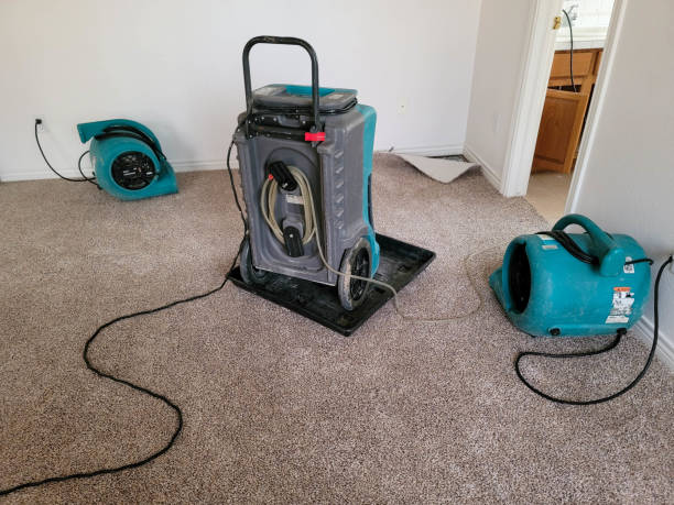 Best Water damage restoration process  in Homestead, FL