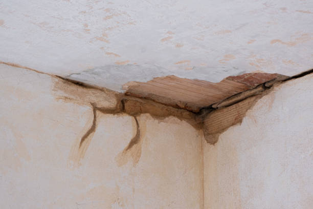 Best Fire Damage Restoration  in Homestead, FL