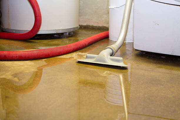 Homestead, FL Water damage restoration Company