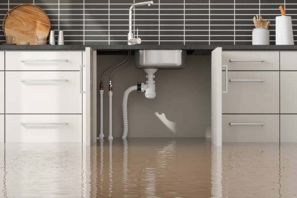 Best Flood restoration services  in Homestead, FL