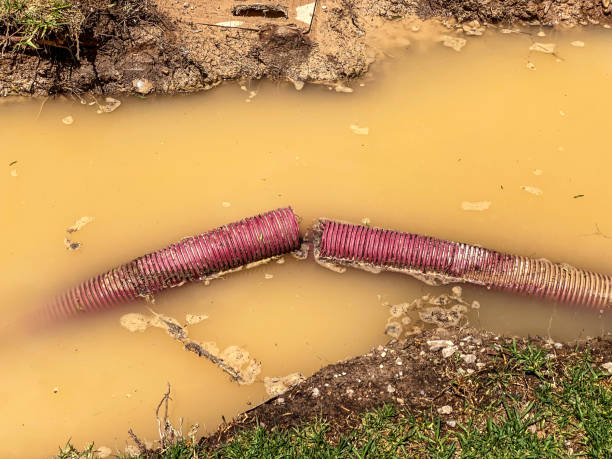 Best Local water damage restoration  in Homestead, FL