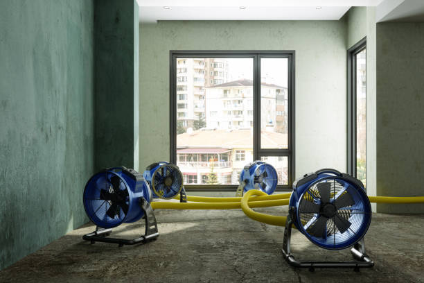 Best Water damage restoration near me  in Homestead, FL